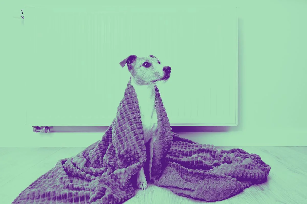 Électricien Essonne - Préparez votre installation électrique pour l’hiver avec votre électricien en Essonne